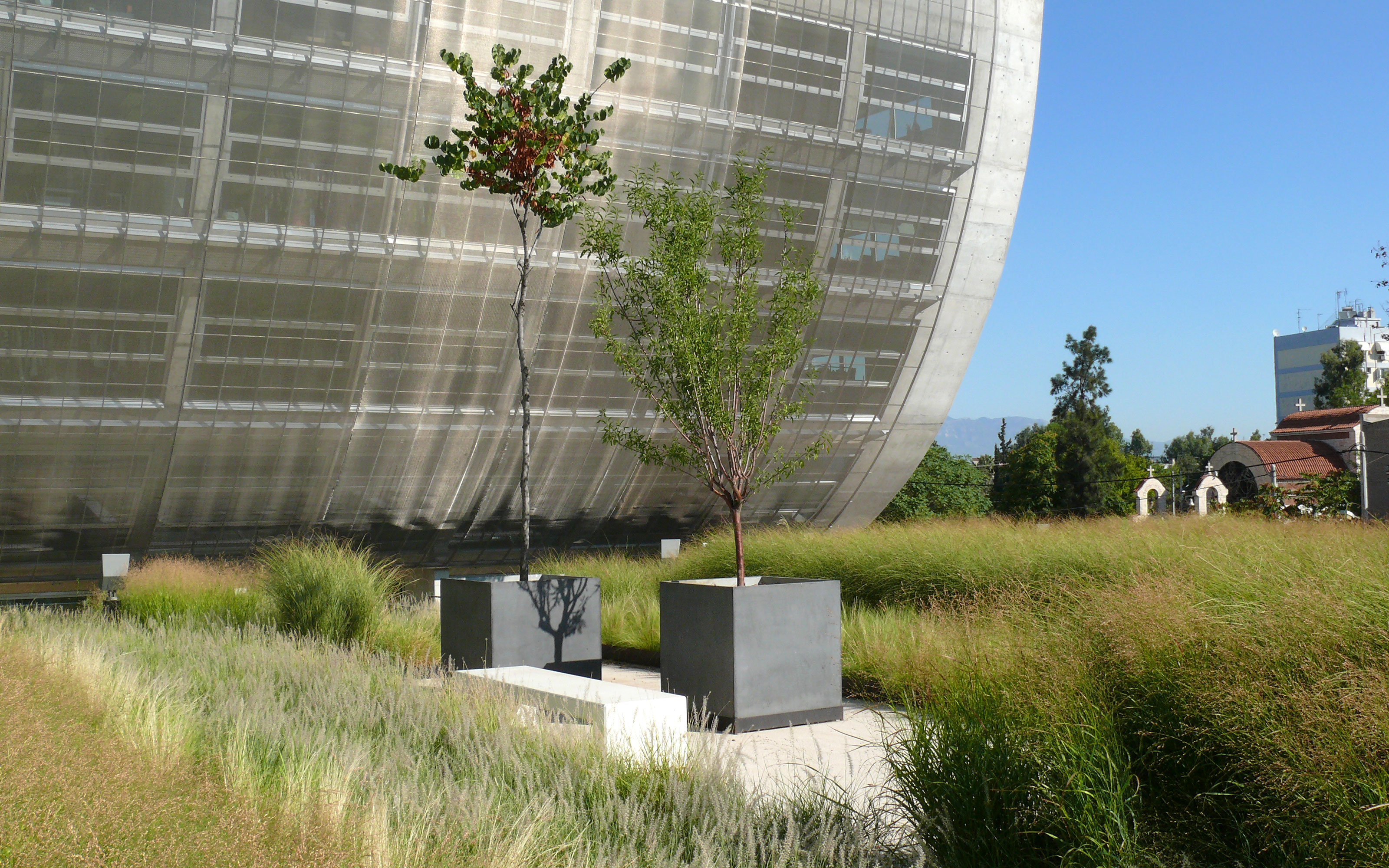 In order to emphasize the open airy character of the building, grasses were planted. Roof garden with ornamental grasses, planters and paved areas